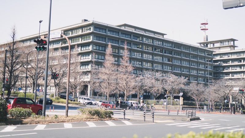 日本の都道府県市町村からランダムに検索する