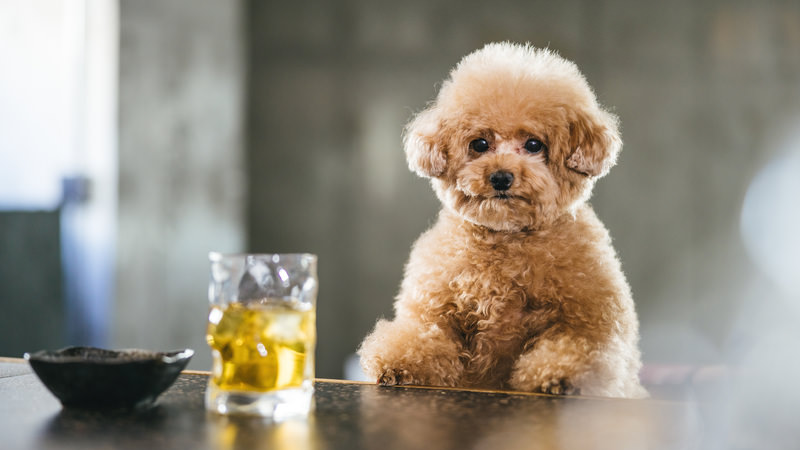 Image that I don't know what to use