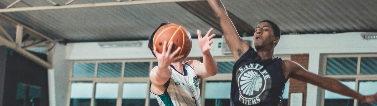 Image of searching for B League teams