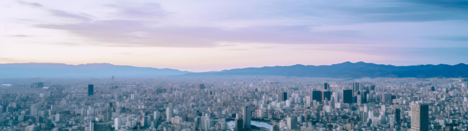 Image of Japanese City search