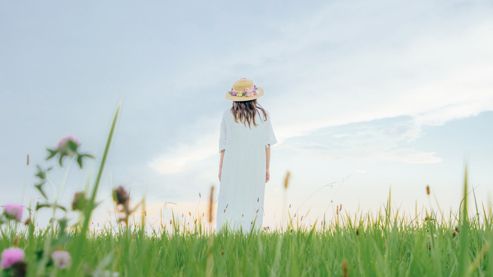 大量データからランダム検索！音楽、国、学校、駅など多彩な情報を瞬時に取得